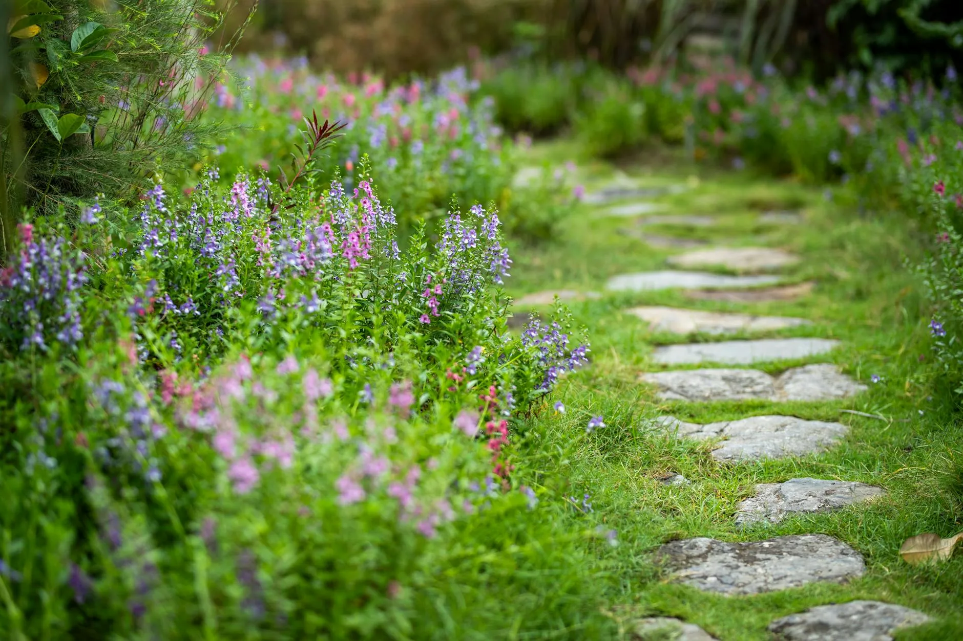 Tuinpad met losse natuursteen
